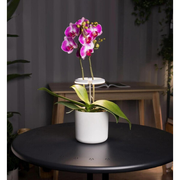 Светильник фито Cactus CS-LED-ORCHID Светильник фито Cactus CS-LED-ORCHID