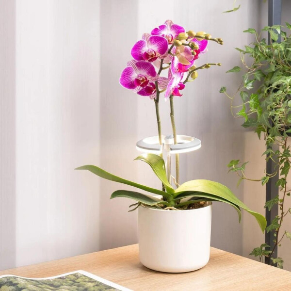Светильник фито Cactus CS-LED-ORCHID Светильник фито Cactus CS-LED-ORCHID