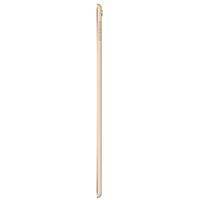 Планшет Apple iPad Pro 9.7 A1673 Wi-Fi 32GB Gold (MLMQ2RK/A) Планшет Apple iPad Pro 9.7 A1673 Wi-Fi 32GB Gold (MLMQ2RK/A)