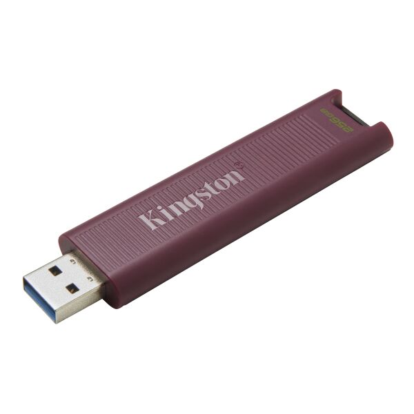 USB Flash Kingston DataTraveler Max 256GB (DTMAXA/256GB)