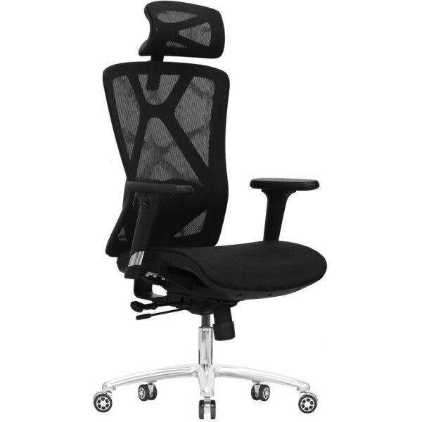 Кресло компьютерное EVOLUTION EXO F1 Mesh Black Кресло компьютерное EVOLUTION EXO F1 Mesh Black