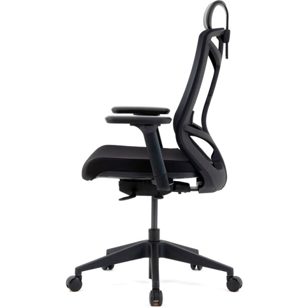 Кресло Chair Meister Nature II (черная крестовина, черный) Кресло Chair Meister Nature II (черная крестовина, черный)