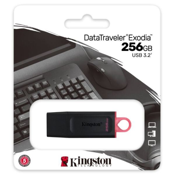 USB-флеш Kingston DataTraveler Exodia 256GB (DTX/256GB) USB-флеш Kingston DataTraveler Exodia 256GB (DTX/256GB)