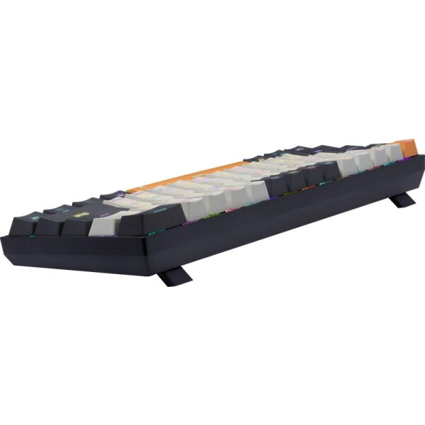Клавиатура Redragon Caraxes Pro (71554) Клавиатура Redragon Caraxes Pro (71554)