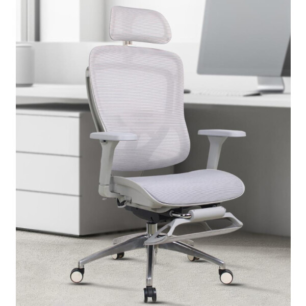 Кресло компьютерное EVOLUTION ERGO ELITE Grey Кресло компьютерное EVOLUTION ERGO ELITE Grey