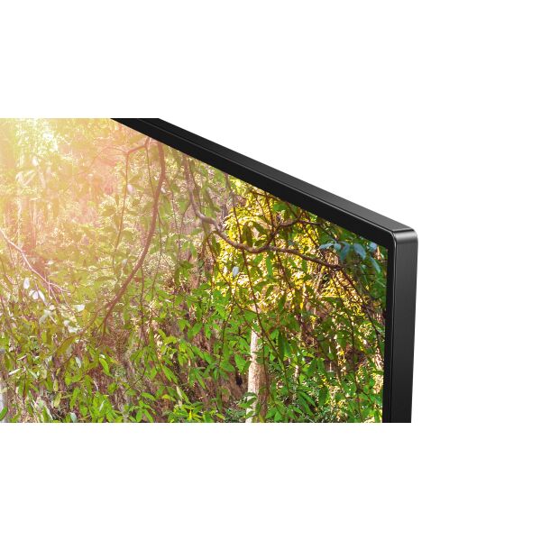 Телевизор LED TCL 55EP680