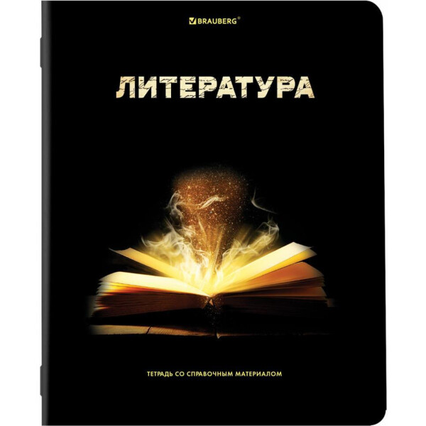 Тетради предметные BRAUBERG 404324 (КОМПЛЕКТ 12 ПРЕДМЕТОВ, 48л, глянцевый УФ-лак) Тетради предметные BRAUBERG 404324 (КОМПЛЕКТ 12 ПРЕДМЕТОВ, 48л, глянцевый УФ-лак)