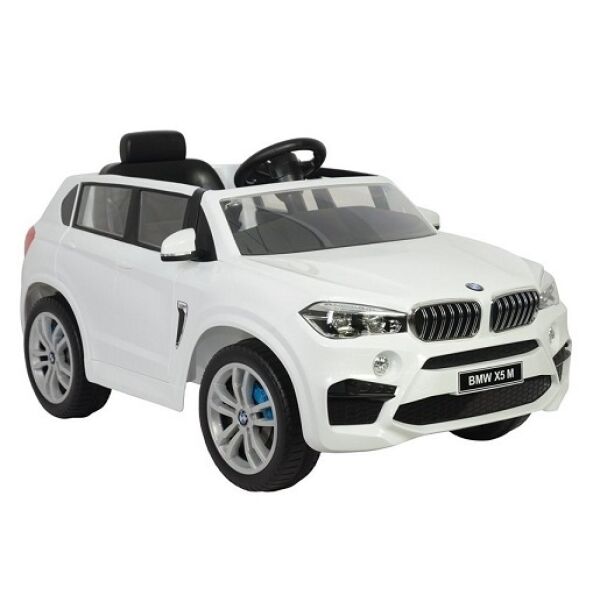 

Электромобили детские CHI LOK BO TOYS COMPANY, Электромобиль CHI LOK BO "BMW X5M" E (белый)