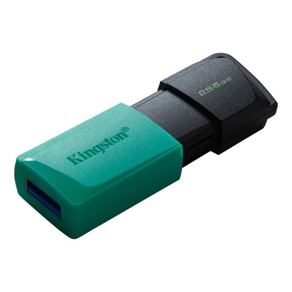 Флэш накопитель Kingston Exodia M 256GB (DTXM/256GB) Флэш накопитель Kingston Exodia M 256GB (DTXM/256GB)