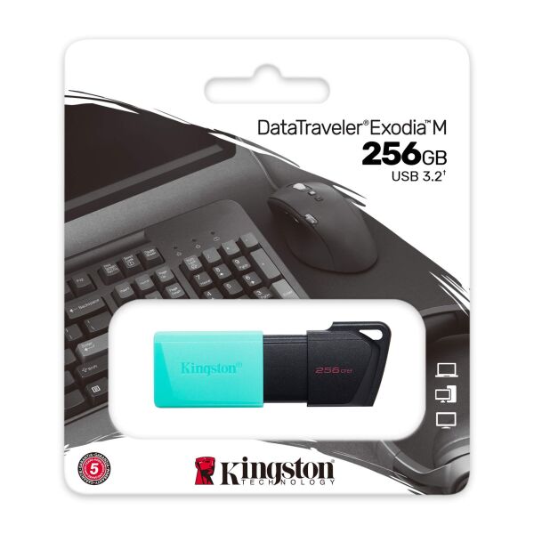 Флэш накопитель Kingston Exodia M 256GB (DTXM/256GB) Флэш накопитель Kingston Exodia M 256GB (DTXM/256GB)