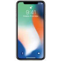 Смартфон APPLE iPhone iPhone X 256GB Silver (MQAG2FS/A)