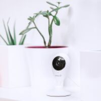 Стационарная Wi-Fi-камера Perenio PEIFC01 Стационарная Wi-Fi-камера Perenio PEIFC01