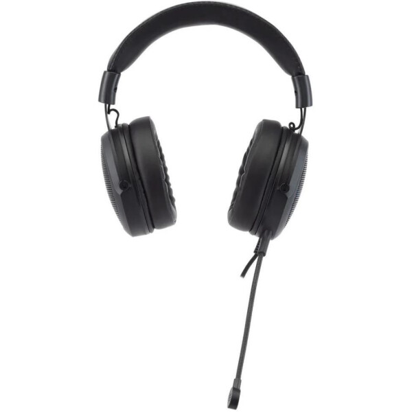 Наушники с микрофоном Acer AHW120 (ZL.HDSCC.01C) Наушники с микрофоном Acer AHW120 (ZL.HDSCC.01C)