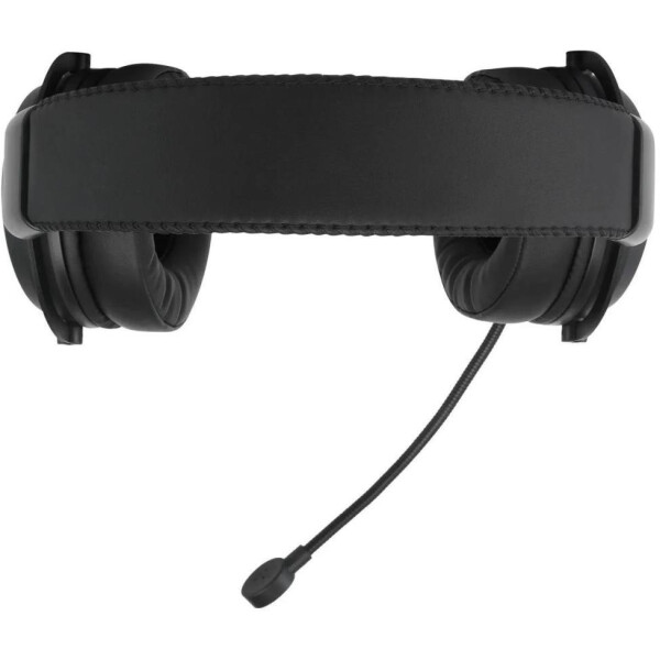 Наушники с микрофоном Acer AHW120 (ZL.HDSCC.01C) Наушники с микрофоном Acer AHW120 (ZL.HDSCC.01C)