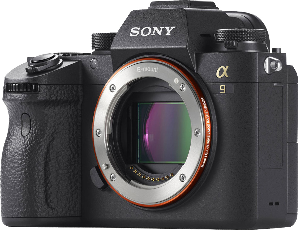 Sony a9 iii примеры фото Фотокамера SONY Alpha a9 Body (ILCE-9) купить в г Быхове, цена
