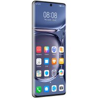 Смартфон Huawei P50 Pro 8GB/256GB (JAD-LX9) Golden Black