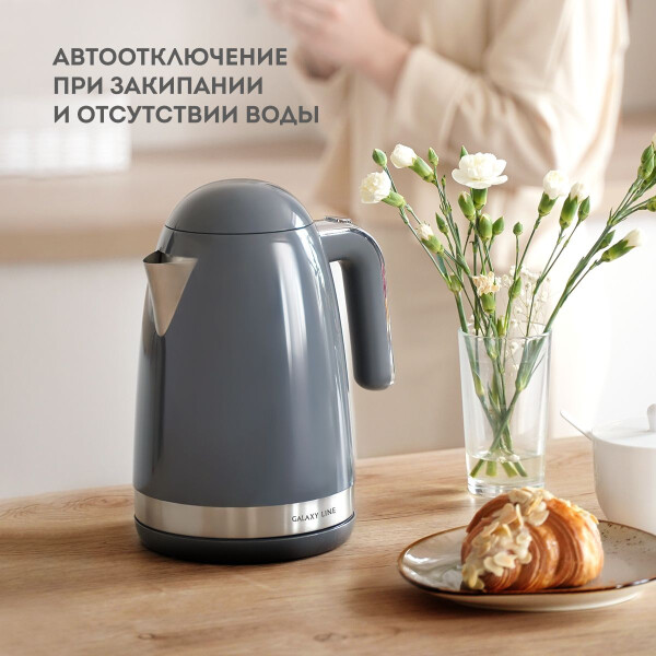 Электрический чайник Galaxy Line GL0332 (графитовый) Электрический чайник Galaxy Line GL0332 (графитовый)