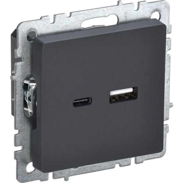 Розетка USB IEK Brite РЮ11-1БрГ