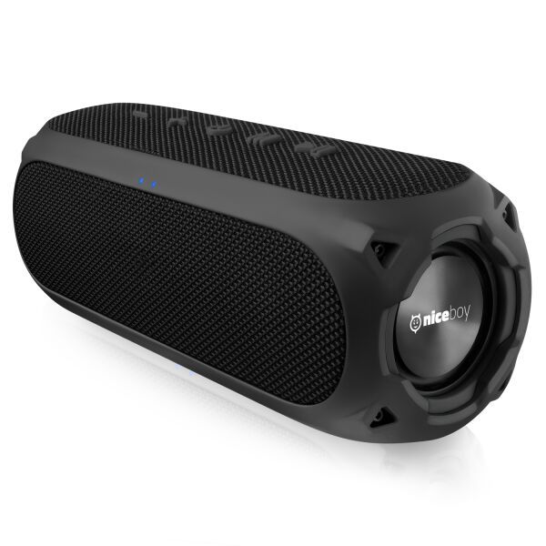 

Беспроводные акустические системы Niceboy, Беспроводная колонка Niceboy Raze 3 Radion