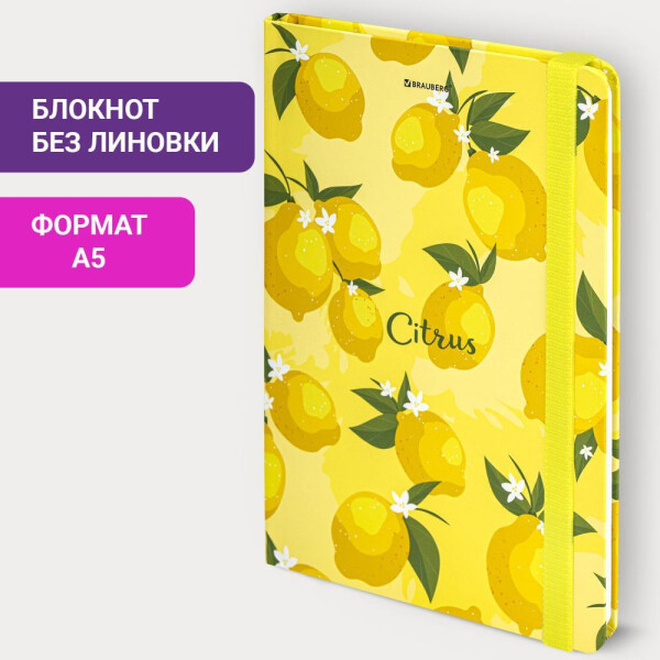 Блокнот BRAUBERG 113727 Блокнот BRAUBERG 113727