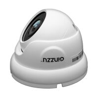 IP-камера Ginzzu HID-5302S IP-камера Ginzzu HID-5302S