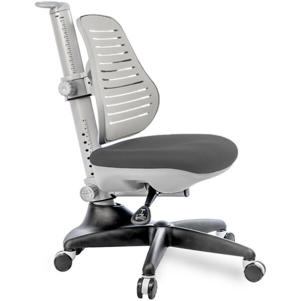 Стул Comf-Pro A/S119-C3-317G-27308-AUTO- 10014