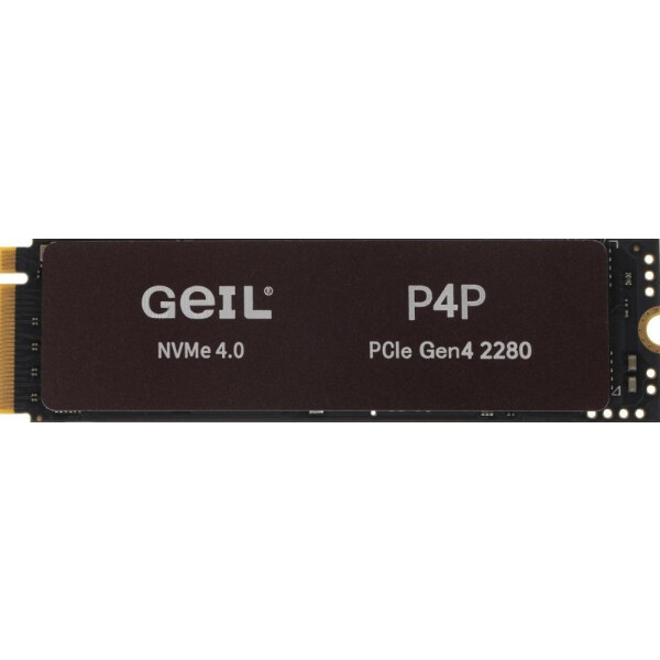 Накопитель SSD Geil P4PDC23C512A