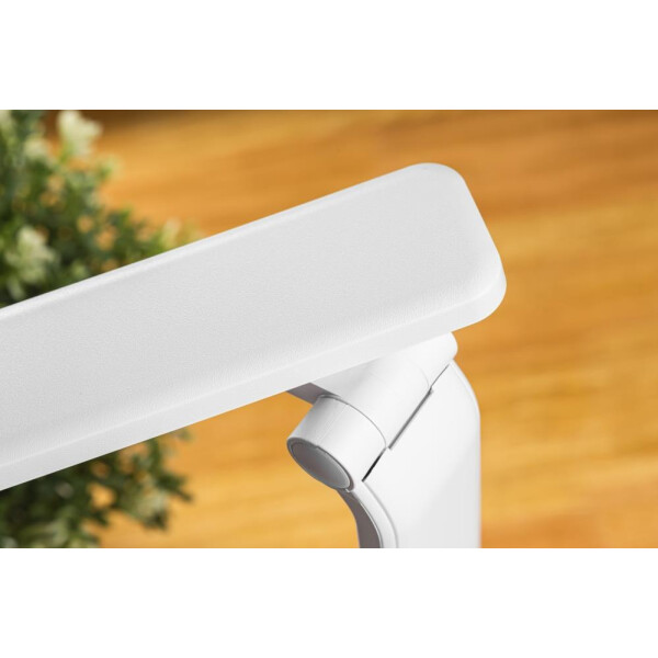 Настольная лампа Sundays Home SM-520 AC (белый) Настольная лампа Sundays Home SM-520 AC (белый)