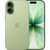 Смартфон Apple iPhone 17 512GB Sage (MG6H4AH/A)