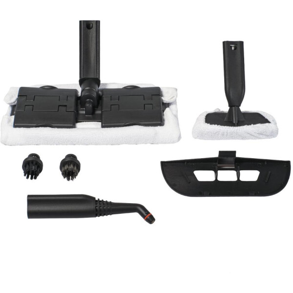 Пароочиститель Bort BDR-2500-RR (91279910) Пароочиститель Bort BDR-2500-RR (91279910)