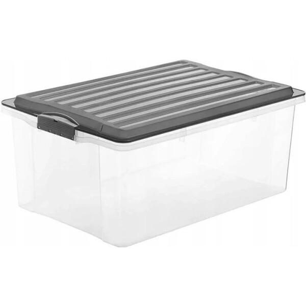 

Товары для хранения Rotho, Ящик для хранения Rotho Compact A3 1767708812 (38л, прозрачный)