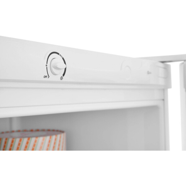 Холодильник Indesit DS 3160 W Холодильник Indesit DS 3160 W