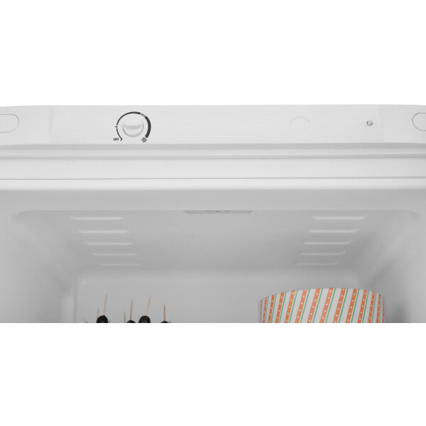 Холодильник Indesit DS 3160 W Холодильник Indesit DS 3160 W