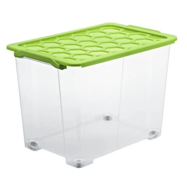 

Товары для хранения Rotho, Контейнер для хранения Rotho Evo Safe 1008205519 (65л, прозрачный/зеленый)