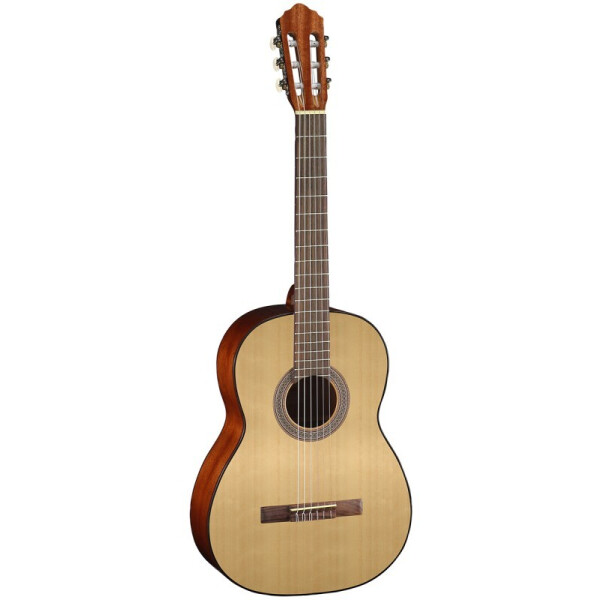 Акустическая гитара Cort AC100 SG