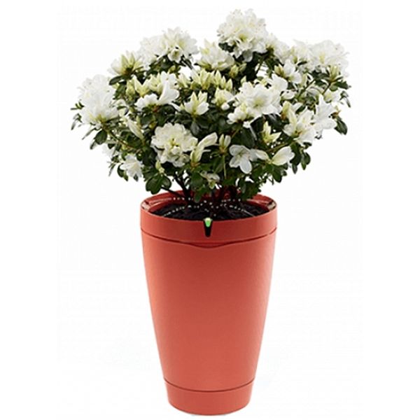 Умный горшок для растений Parrot POT (PF901011), красный Умный горшок для растений Parrot POT (PF901011), красный