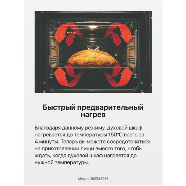 Духовой шкаф ретро HANSA BOES68269 Духовой шкаф ретро HANSA BOES68269