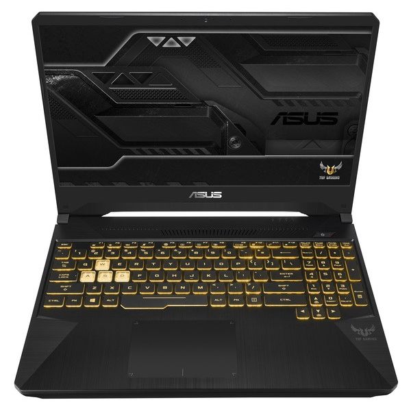 Ноутбук Asus FX705GD-EW207 Ноутбук Asus FX705GD-EW207