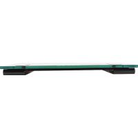 Напольные весы ENDEVER Aurora-550 Напольные весы ENDEVER Aurora-550