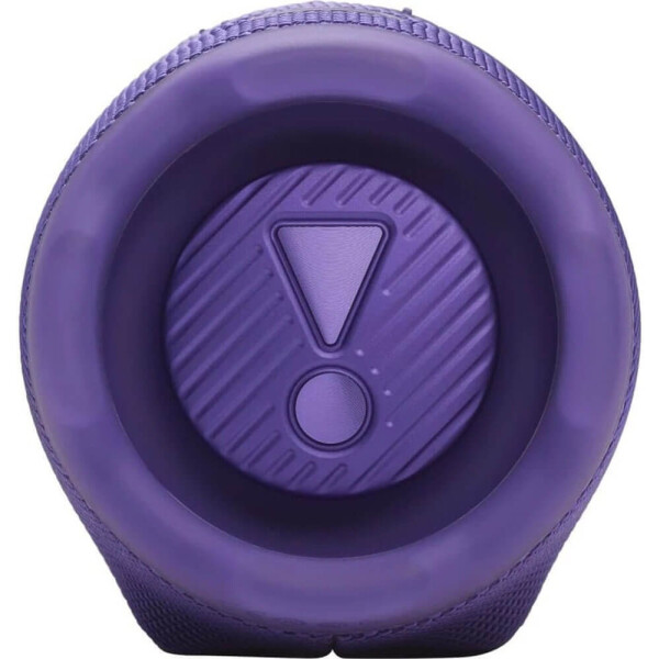 Беспроводная колонка JBL Charge 6 (пурпурный) Беспроводная колонка JBL Charge 6 (пурпурный)