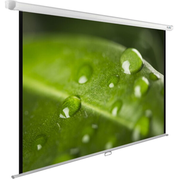 Экран Cactus CS-PSWE-200X150-WT