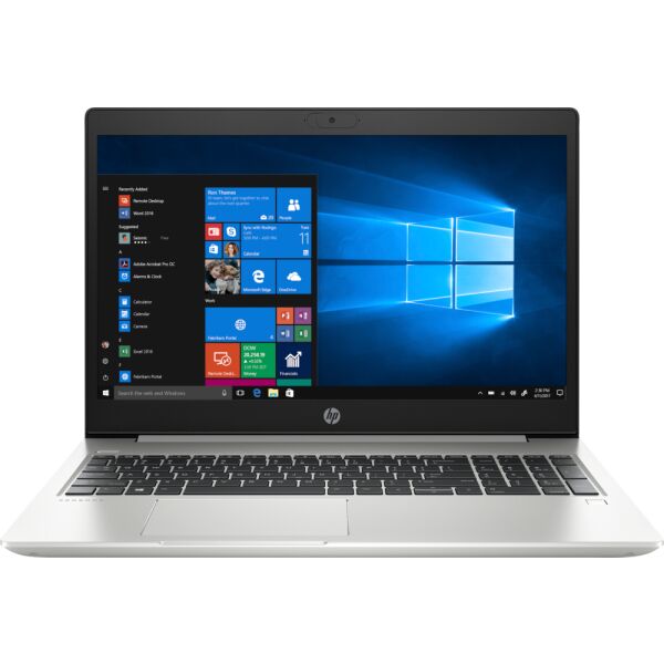 Ноутбук HP ProBook 450 G7 (2D296EA)