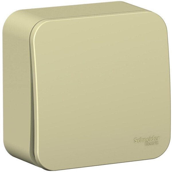 Выключатель Systeme Electric BLANCA BLNVA101017