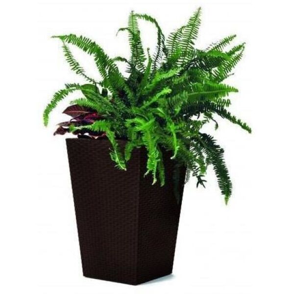 

Кашпо, стойки, вазоны для цветов Keter, Кашпо Keter Large Rattan Planter 228925 (коричневый)