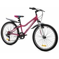 Велосипед Favorit Juli Pro 24 V (сиреневый) Велосипед Favorit Juli Pro 24 V (сиреневый)