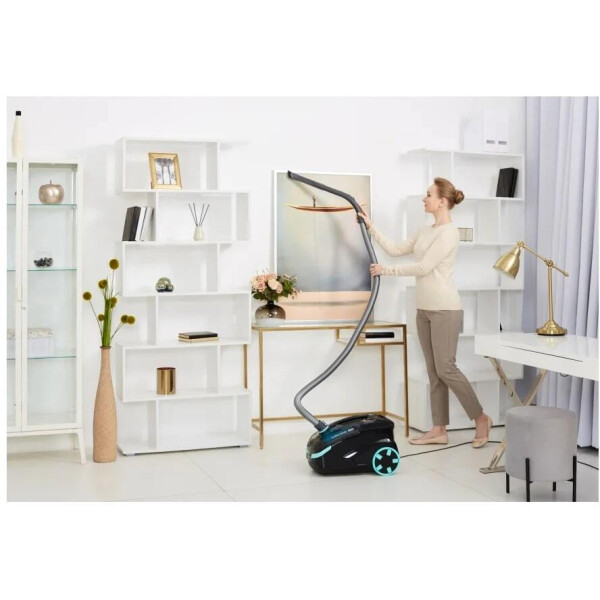 Пылесос Thomas DryBox Amfibia Family 788599 Пылесос Thomas DryBox Amfibia Family 788599