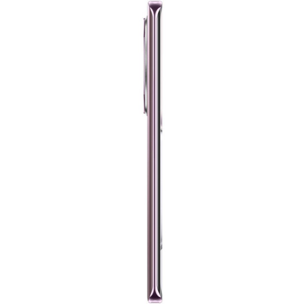 Смартфон Honor X9c (BRP-NX1) 12GB/256GB Titanium Purple Смартфон Honor X9c (BRP-NX1) 12GB/256GB Titanium Purple