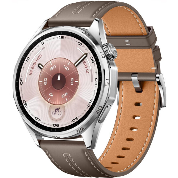 Смарт-часы HUAWEI Watch GT 6 46mm (ATM-B19) серебристый, с коричневым кожаным ремешком