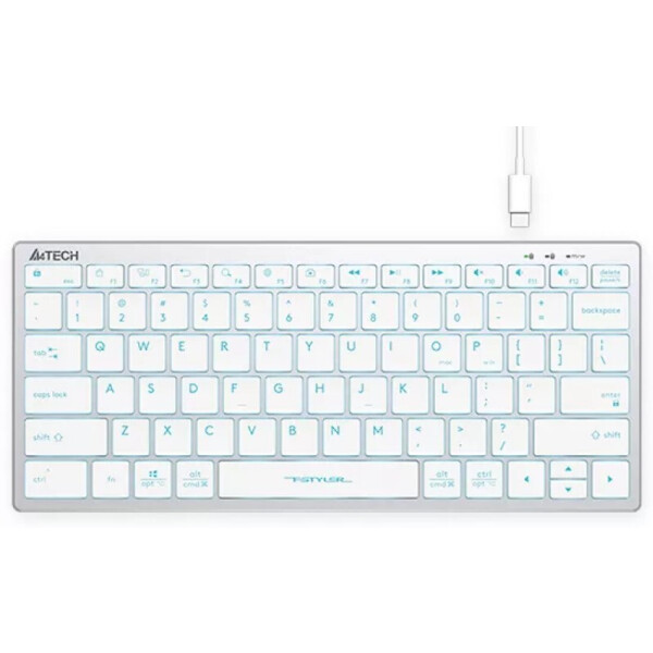 Клавиатура A4Tech Fstyler FX61 (серебристый/белый)