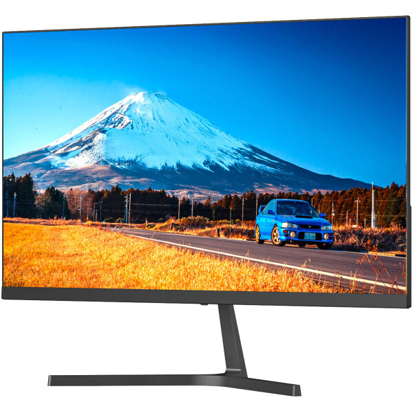 Монитор SunWind SM-24FI221 (SM24SB01)